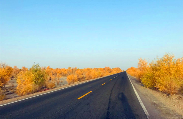 沙漠公路景观