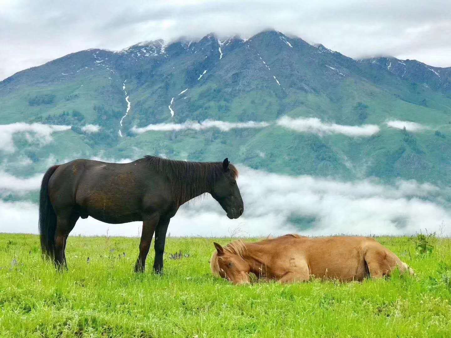 那拉提草原