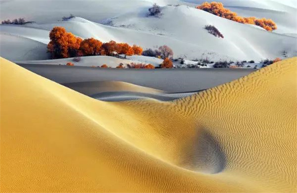 微信图片_20220731114706.jpg 微信图片_20220731114706.jpg