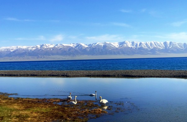 IMG_8953_副本.jpg IMG_8953_副本.jpg
