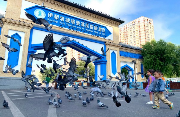 1_副本.jpg 1_副本.jpg