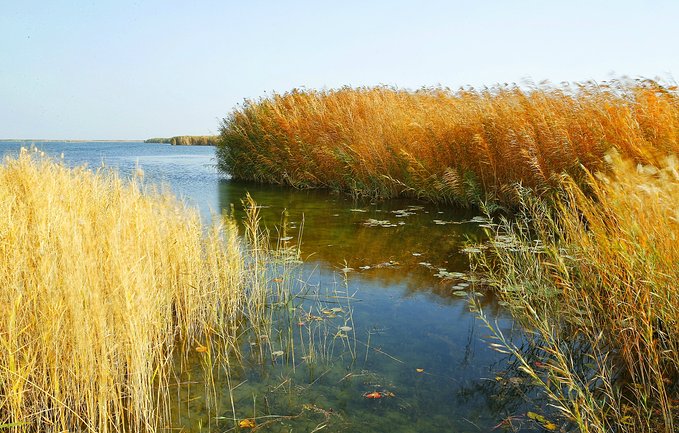 新疆库车,罗布人村寨,博斯腾湖包车4日游多少钱！