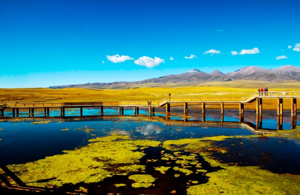 新疆旅游的魅力